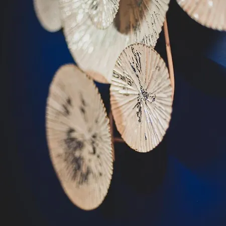Corterra Avec Piscine Et Jacuzzi Frühstückspension Fargues-de-Langon