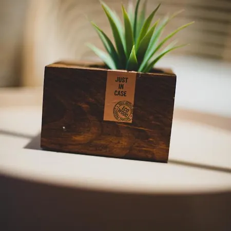 Corterra Avec Piscine Et Jacuzzi * Fargues-de-Langon