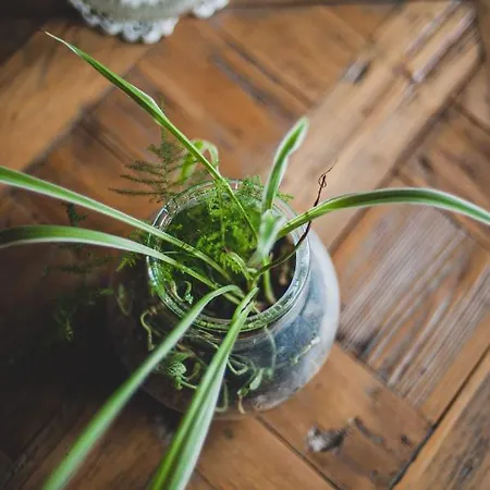 Corterra Avec Piscine Et Jacuzzi * Fargues-de-Langon