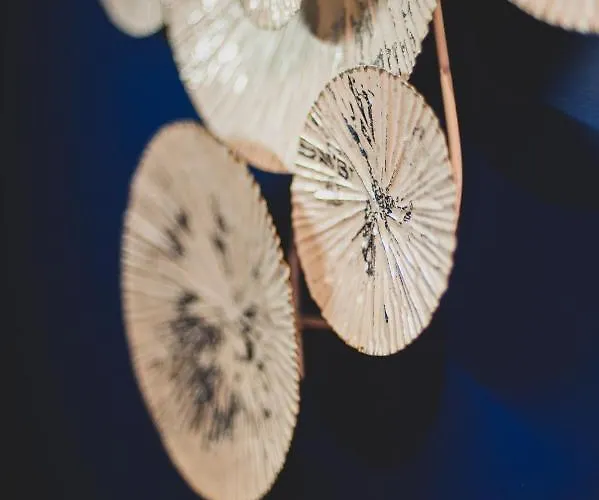 Corterra Avec Piscine Et Jacuzzi Bed and Breakfast Fargues-de-Langon