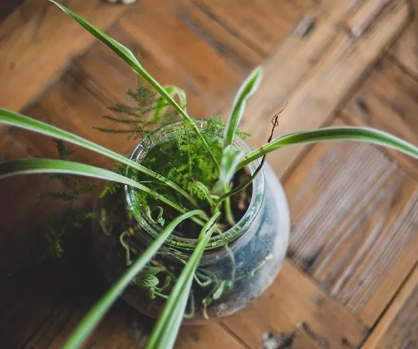 Corterra Avec Piscine Et Jacuzzi * Fargues-de-Langon